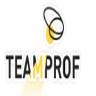 TEAMPROF